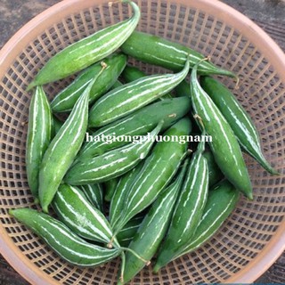 Hạt gióng lặc lầy xanh