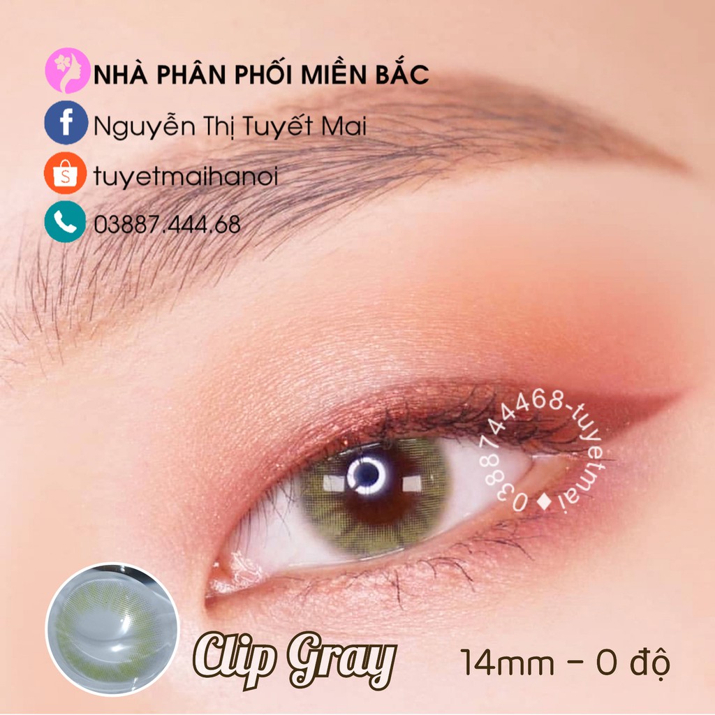 Lens Màu Xám Xanh Clip Gray 14mm 0 Độ - Kính Áp Tròng Hàn Quốc Chính Hãng Vassen Sexy Me