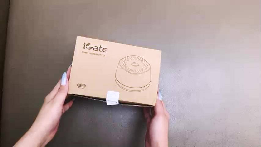 Hệ thống WiFi Mesh VNPT Technology iGate EW12ST (1-pack) chuẩn AC hiệu năng vượt trội dành cho gia đình | BigBuy360 - bigbuy360.vn