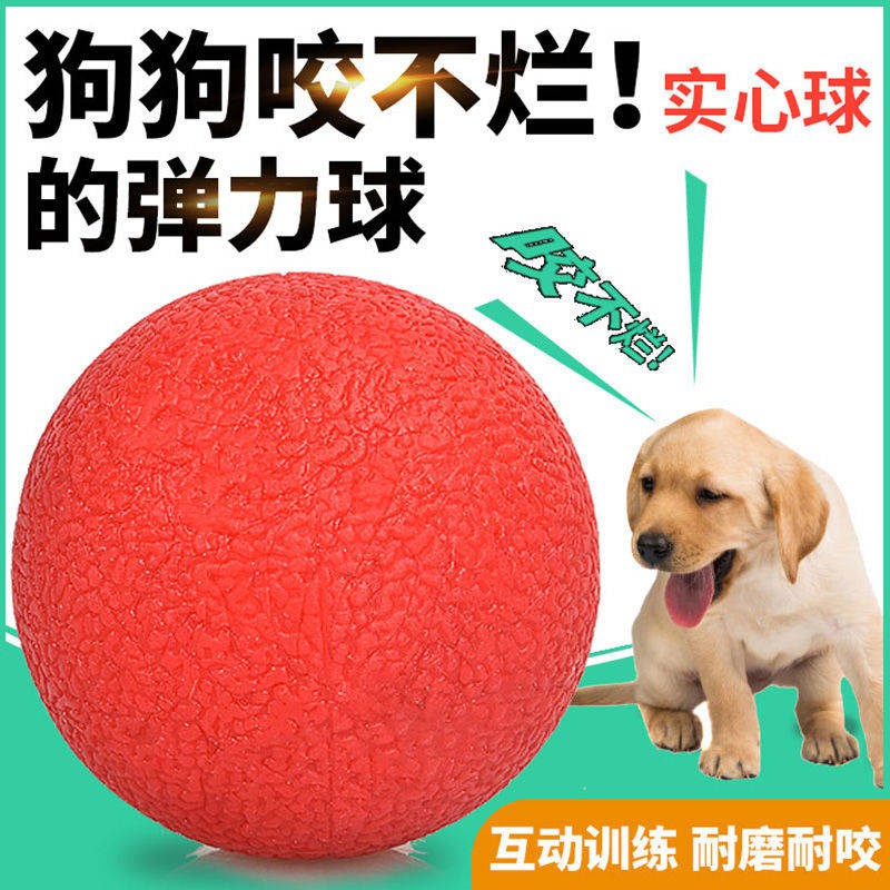 Đồ chơi chó xấu Bụng xấu bề mặt rắn Pet Dog Đào tạo mài Teddy Jin Mao Mao Chó cung cấp