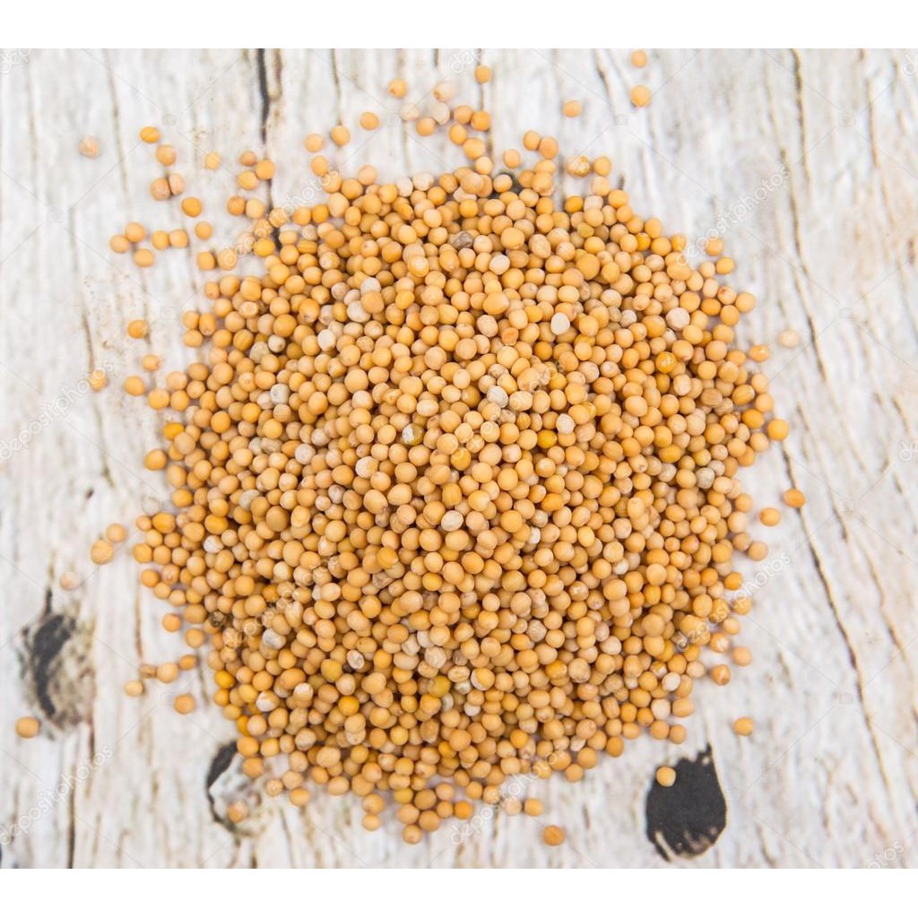 Mustard seed - Hạt mù tạc (tạt) vàng gói nhỏ zip 100g hũ 120ml