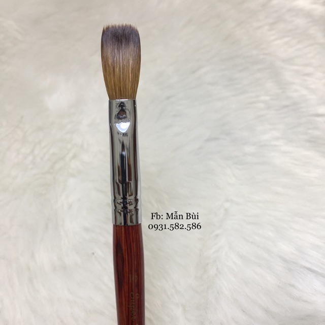 Combo 20 cọ s12 gỗ