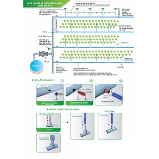 BÉC TƯỚI RAU BB 909 META