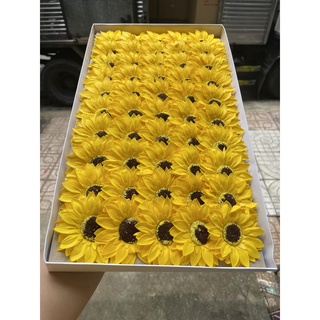 Hộp 25/50 bông hoa hướng dương sáp