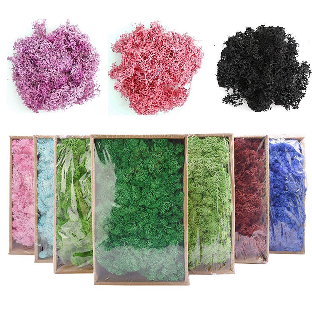 Chậu Cây Cỏ Rêu Nhân Tạo Mini Trang Trí Phòng Khách