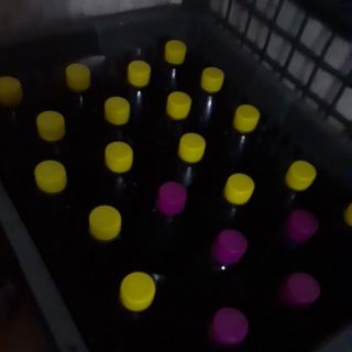 Nước mắm cá cơm nam định sa châu