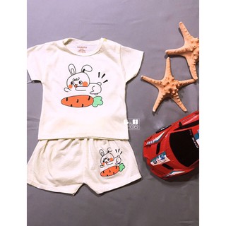 combo 5 bộ cotong hè cho bé