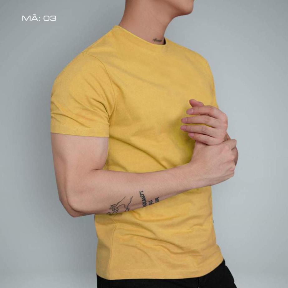 Áo Thun Nam cổ tròn VNXK, Áo Phông Nam basic trơn cotton ngắn tay vải co giãn, dày dặn , chuẩn form màu Nâu Xịn