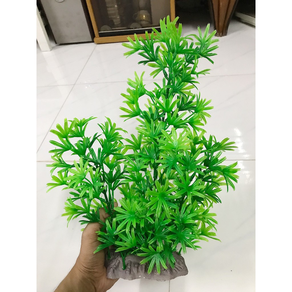 RONG GIẢ TRANG TRÍ HỒ CÁ NON BỘ CAO 38CM