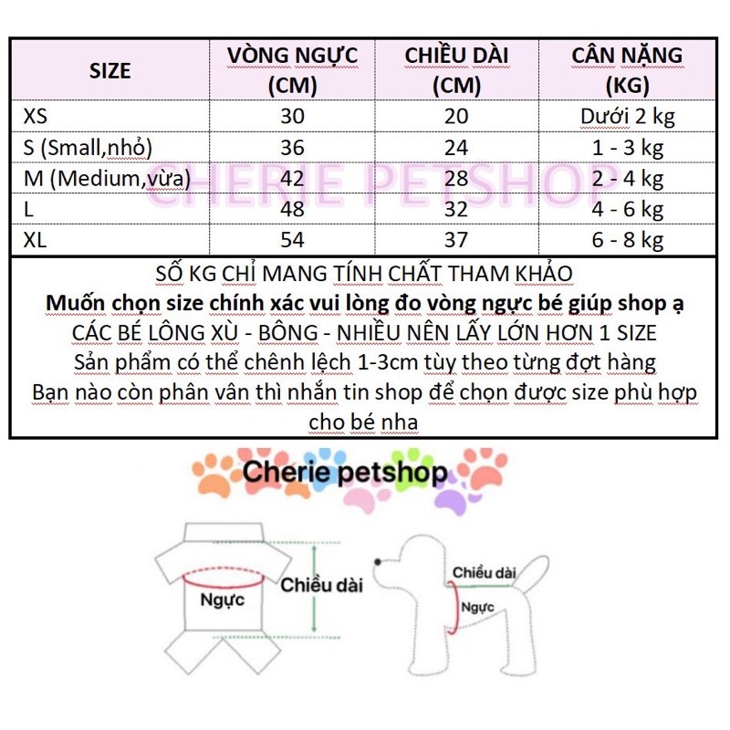 Bộ lân Tết sang chảnh cho thú cưng