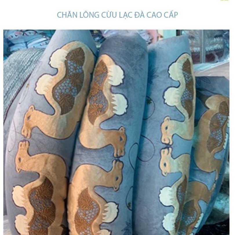 CHăn Lạc Đà- Chăn cừu Cao Cấp mẫu mới 2021 Nặng 4kg Rộng 2mx2m3- Hàng Nhập Khẩu