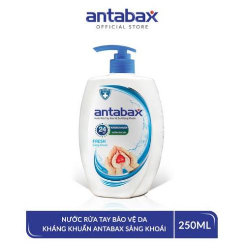 Nước Rửa Tay Bảo Vệ Da Kháng Khuẩn Antabax Sảng Khoái 250ml