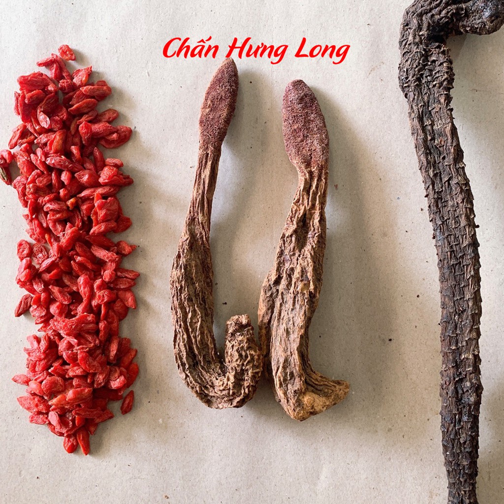 Thuốc ngâm rượu Nhục thung dung 100g + Kỷ tử 100g + Tỏa dương 50g - Nhà thuốc Chấn Hưng Long