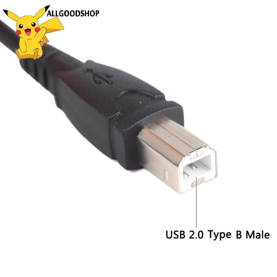 Cáp chuyển đổi USB 2.0 cổng Type A sang đầu USB B