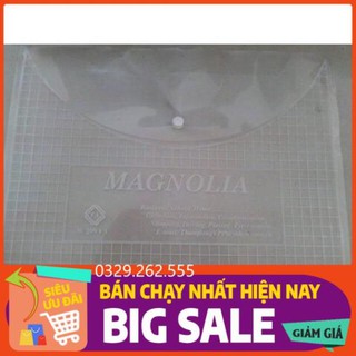 (FreeShip) Túi clear bag