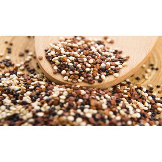 Hạt diêm mạch (quinoa) 3 màu hữu cơ Đức