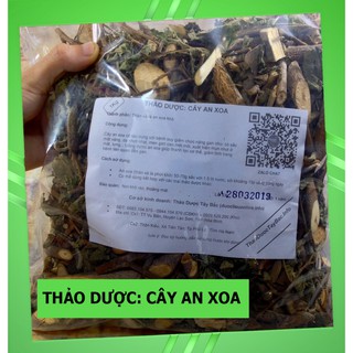An Xoa - Cây An Xoa 💟FREESHIP💟 Giảm Ngay 20K Khi Nhập [DUOCL20K]