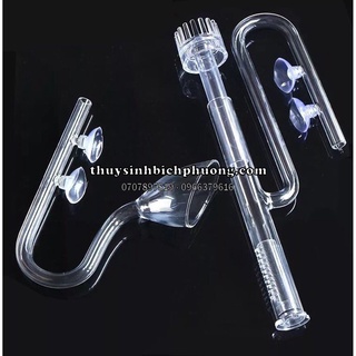 IN OUT THUỶ TINH CÓ LỌC VÁNG - CHUYÊN DỤNG THẨM MỸ CHO LỌC THUỶ SINH
