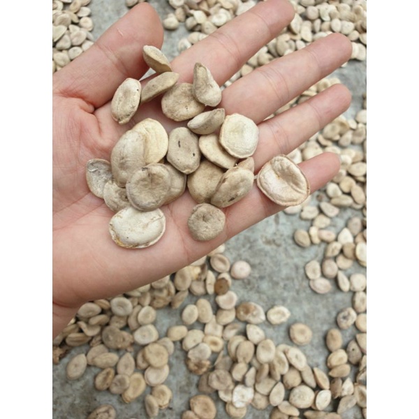 Hạt Mã Tiền nhung - 100g Hàng mới, khô, sạch