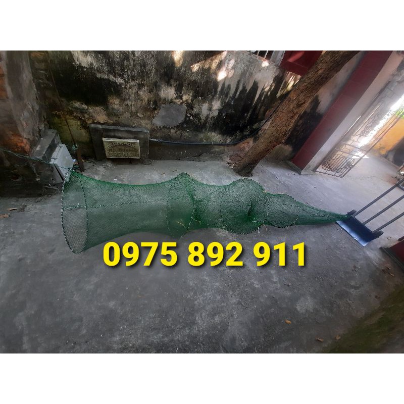 Đuôi dớn , đăng chặn sông , cống mương suối