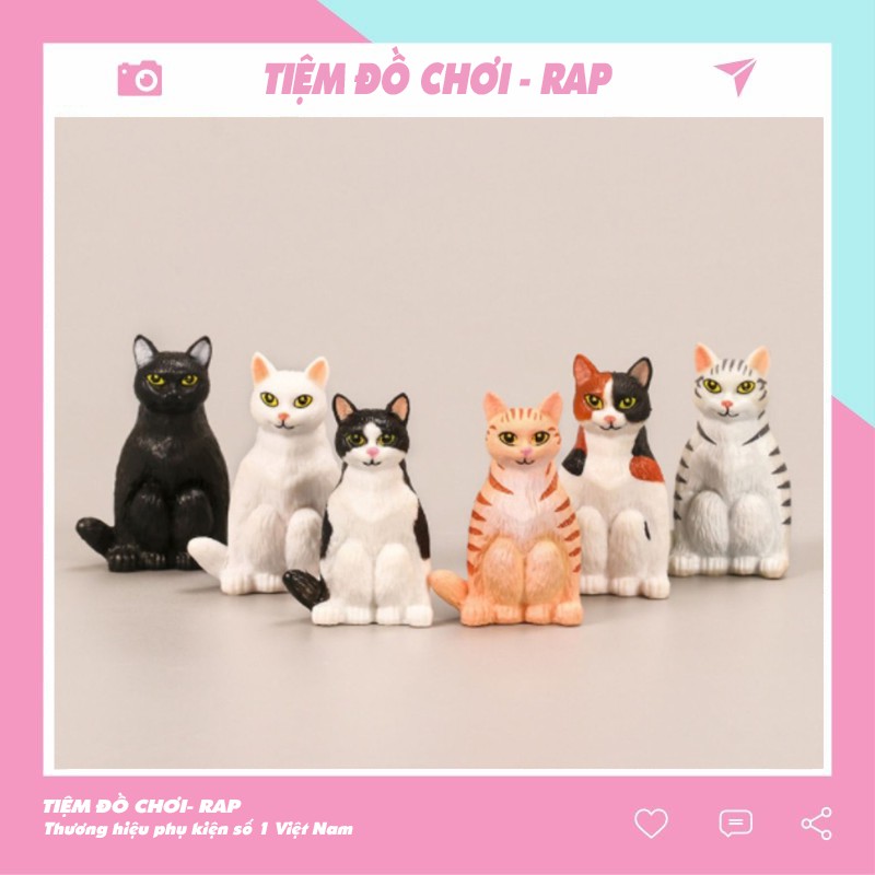 Set 6 mèo mô hình để bàn mini ngồi hóng mẹ đi chợ về cute dễ thương full bộ trang trí góc học tập, bàn làm việc - Ráp