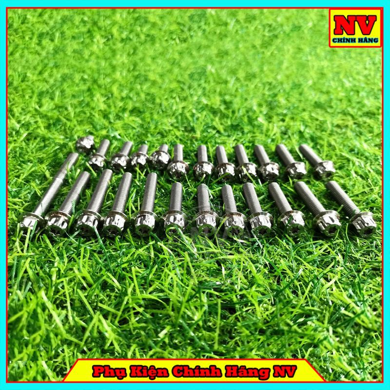 Bộ Ốc Lốc Máy Winner Mẫu Salaya Inox 304 (24 Con)