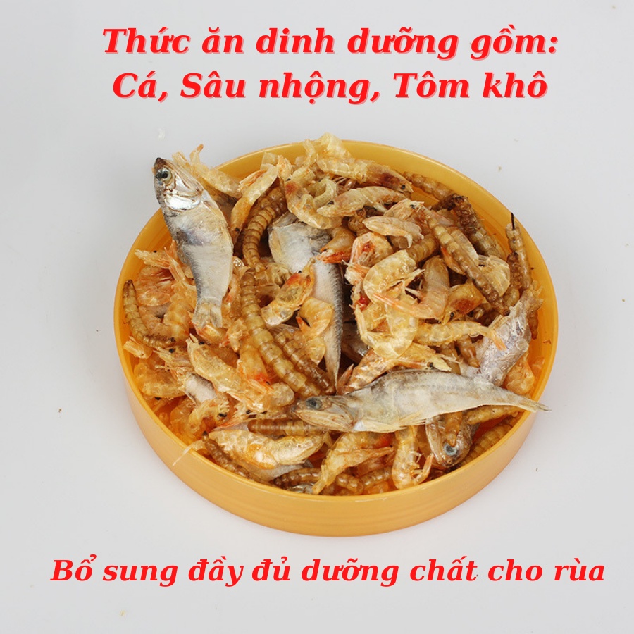 Thức Ăn Cho Rùa Nước, Thức Ăn Rùa Dinh Dưỡng Tổng Hợp Gồm Cá, Sâu Nhộng, Tôm Khô Dùng Để Bổ Sung Dinh Dưỡng Cho Rùa