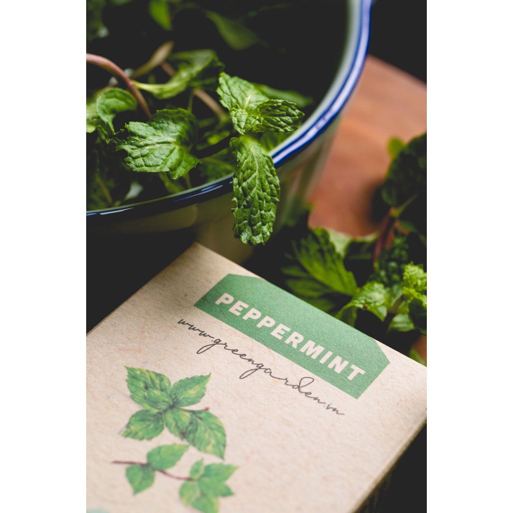 Xà phòng handmade Bạc Hà từ Green Garden