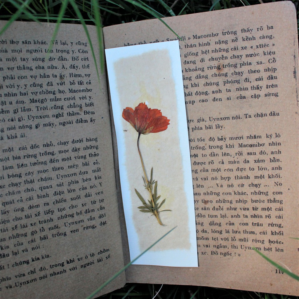 [Bookmark] Thẻ Đánh Dấu Sách Handmade Hoa Cam ép Khô nền trắng Vintage Bền Màu Kích Thước 5cm x 15cm