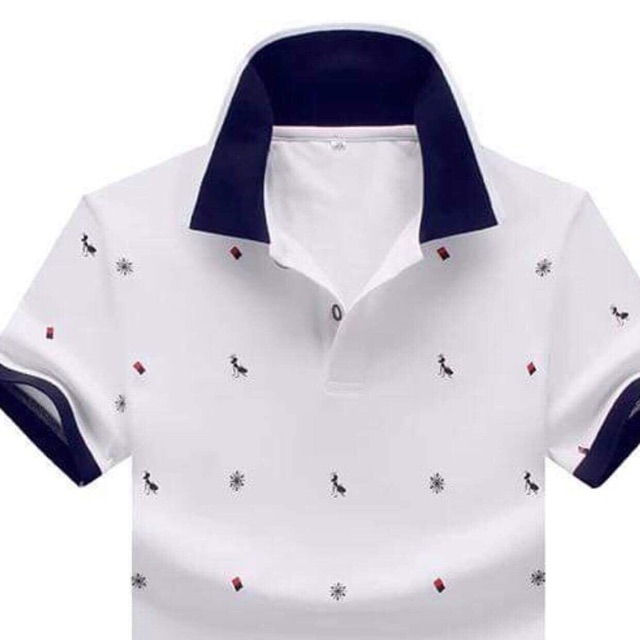 Combo 2 áo phông Polo nam