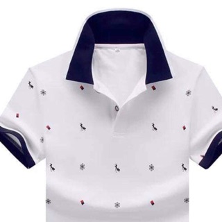 Combo 2 áo phông Polo nam