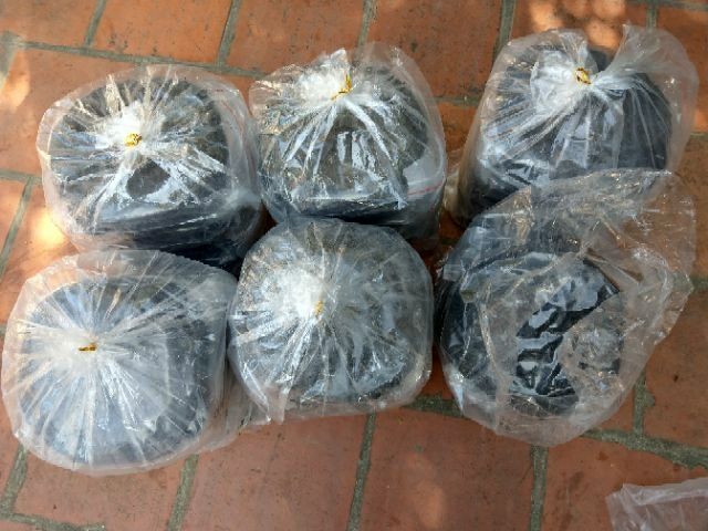 100gr Rong biển Lý Sơn chính gốc - Shop tại Quảng Ngãi