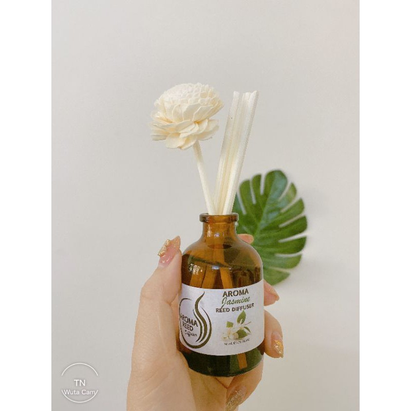 Tinh dầu Aroma Thái Lan - hàng sẵn mới về