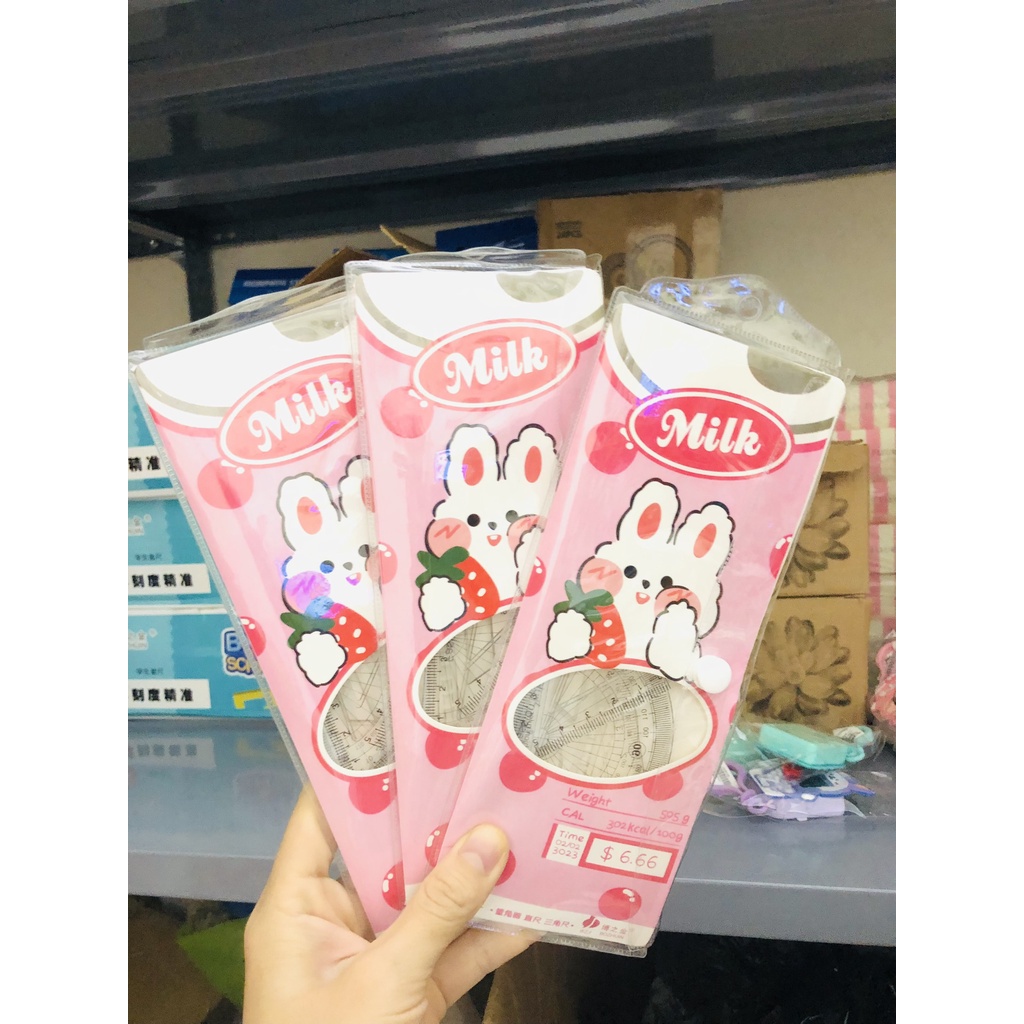 Thước kẻ cute set 4 món có túi đựng họa tiết dễ thương dành cho học sinh BMBooks