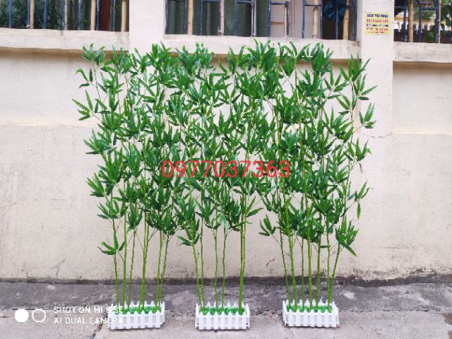 6 Cây trúc giả cao cấp kèm chậu