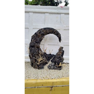 tiểu cảnh bể cá