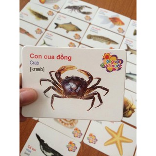 BỘ THẺ HỌC 416 THẺ ( 16 CHỦ ĐỀ )