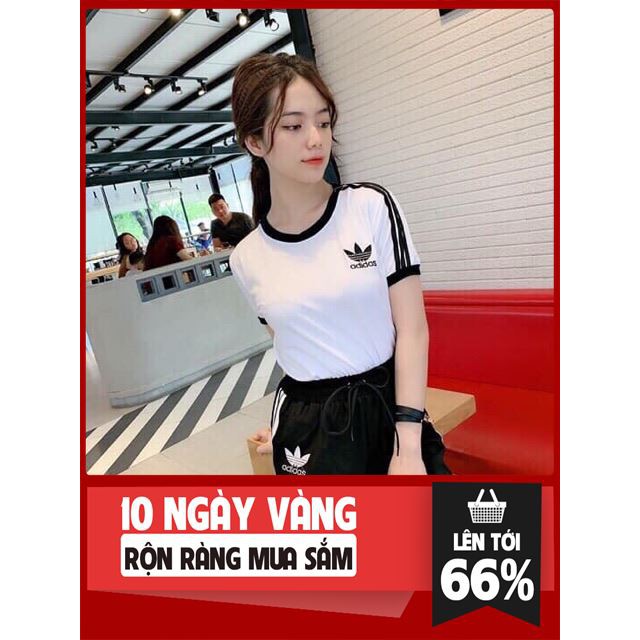 [ Sale Off ] Bộ ngố thêu ống rộng( ảnh+ video) thời trang nem