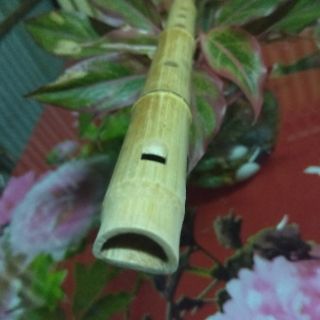 Sáo dọc  tone c5, G4, Bb..(trúc Bắc Ninh)