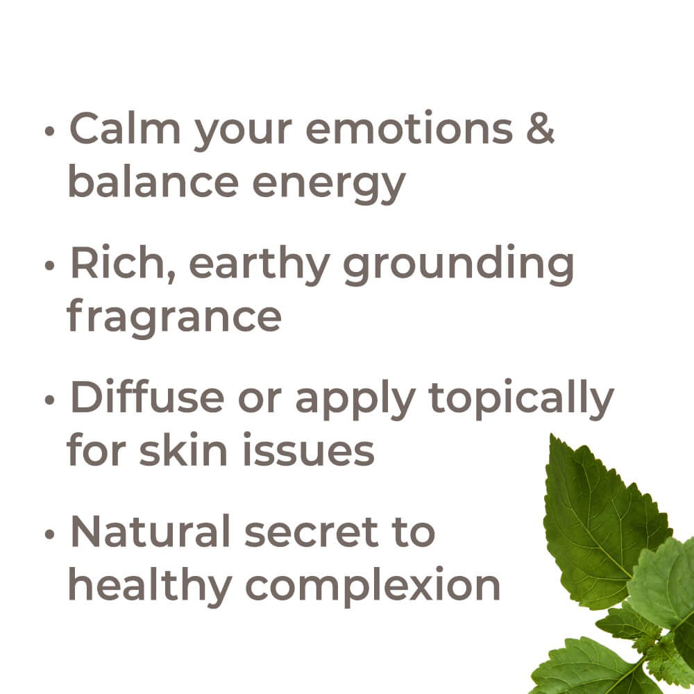 Plant Therapy - Tinh Dầu Hoắc Hương Hữu Cơ - Patchouli Organic KidSafe Essential Oil - 10mL