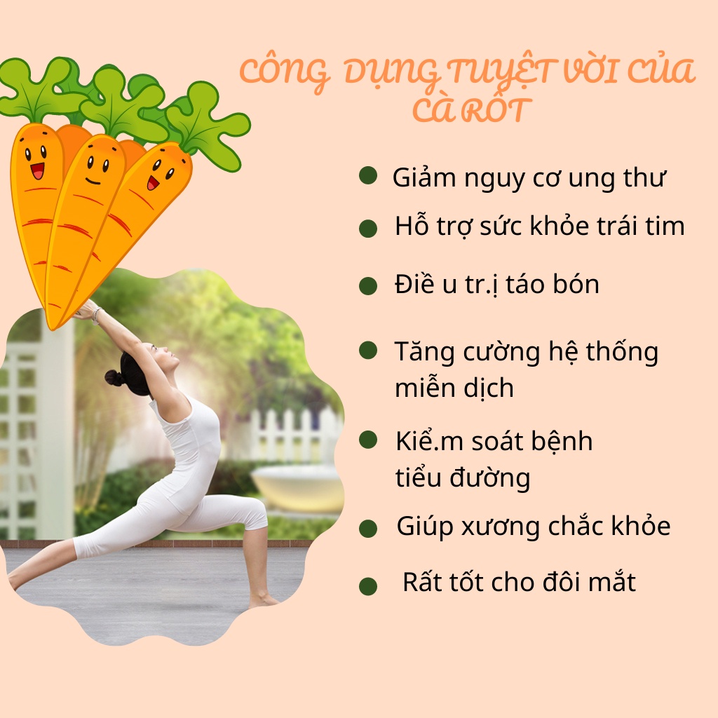 Cà rốt thái lát sấy lạnh Robi Mart gói 20gr - Lát đẹp hàng chính hãng