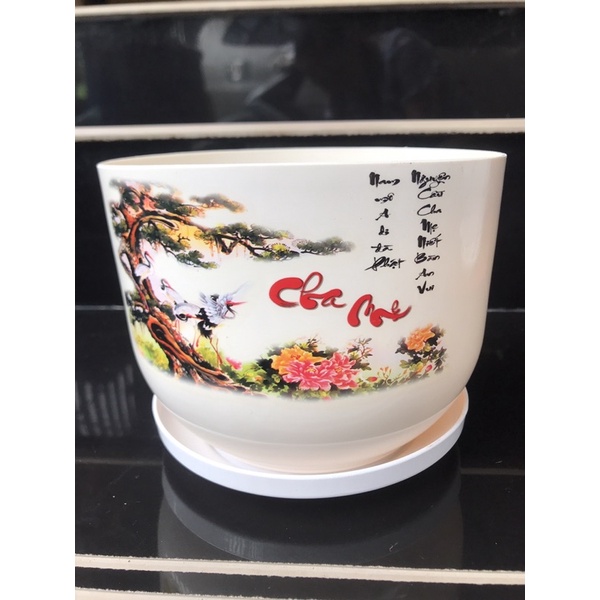 Chậu nhựa để bàn