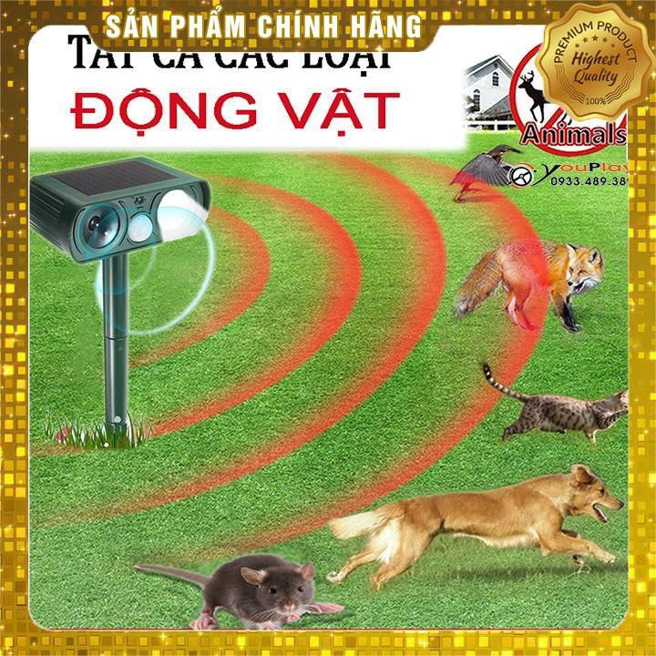 [100% HIỆU QUẢ] Máy đuổi chuột AMB A1 - Thiết bị đuổi chuột bằng công nghệ hồng ngoại