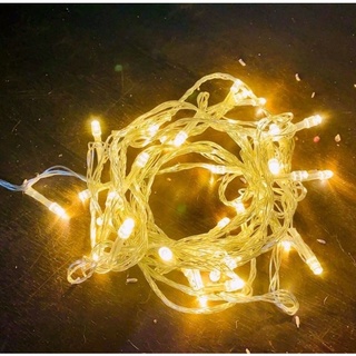 Dây đèn led trang trí dài 5 mét cắm điện có chế độ nháy