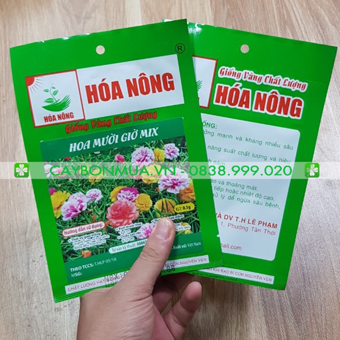 HOA MƯỜI GIỜ MIX - Giống Vàng Chất Lượng