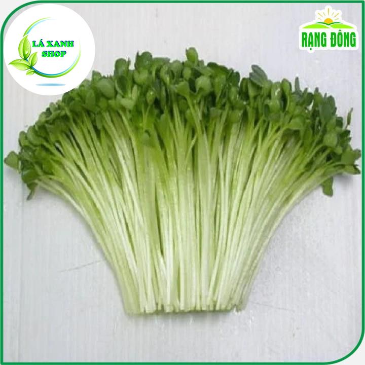 Hạt giống Rau Mầm Củ Cải Trắng Dễ Trồng, Nhanh Thu Hoạch (gói 50 gram) - Hạt Giống Rạng Đông