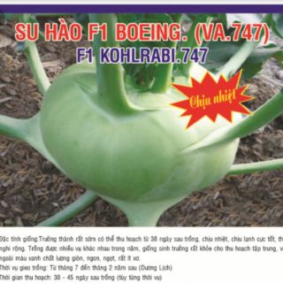 Hạt giống củ su hào