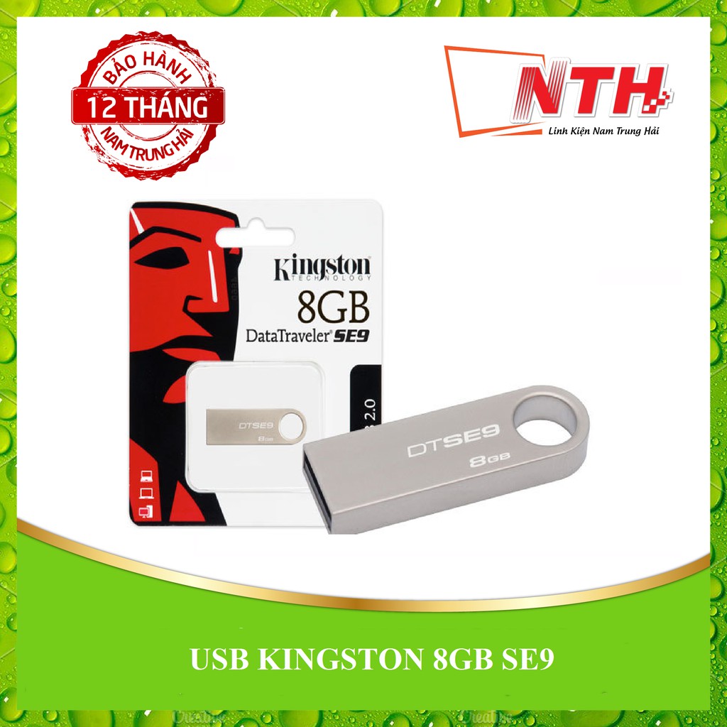 USB 8GB SE9