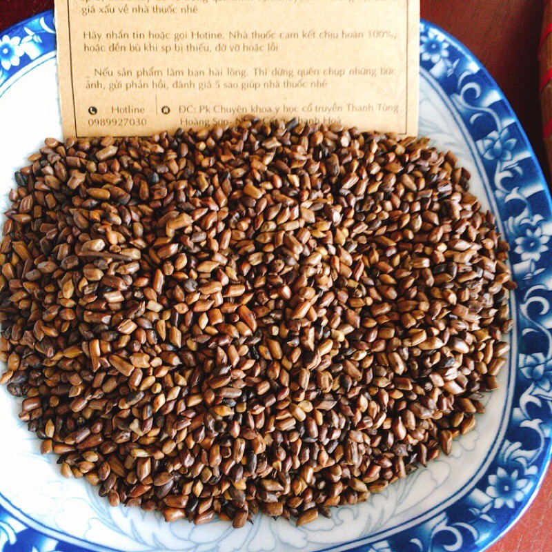 QUYẾT MINH TỬ- HẠT MUỒNG MUỒNG