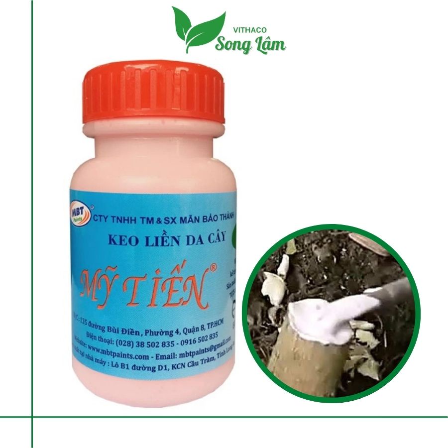 Keo liền sẹo da cho cây Mỹ Tiến lọ 100gr